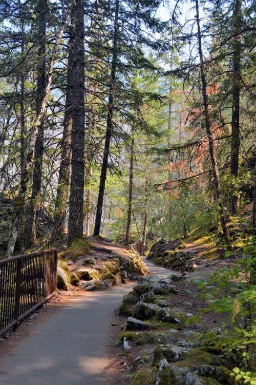 hiking trail